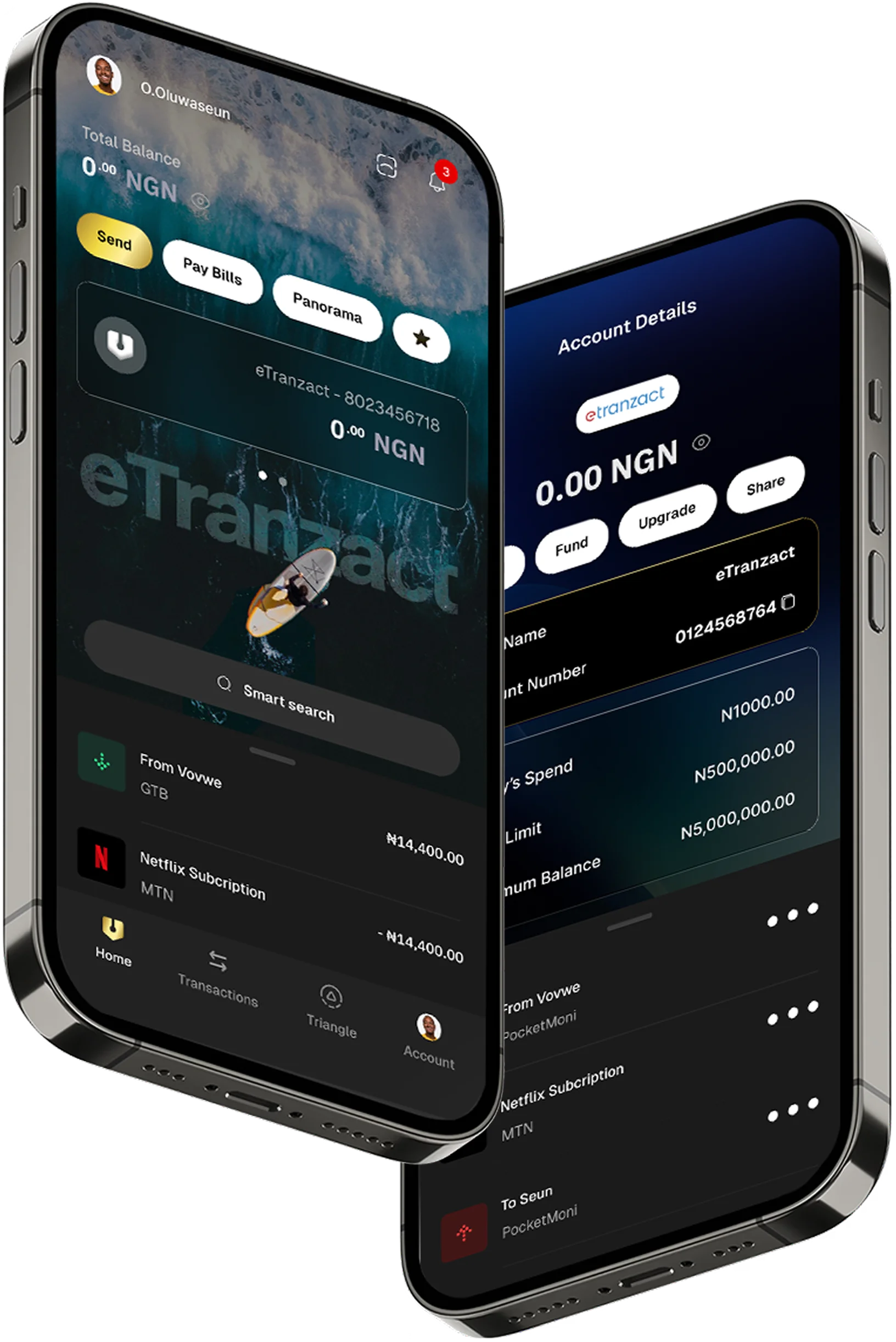 PocketMoni Bank Screens